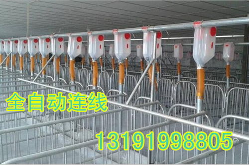 大小型豬舍均可安裝自動化下料線，提升養豬效率與經濟效益