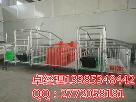 現代養豬設備 提升養殖效益與動物福利的關鍵